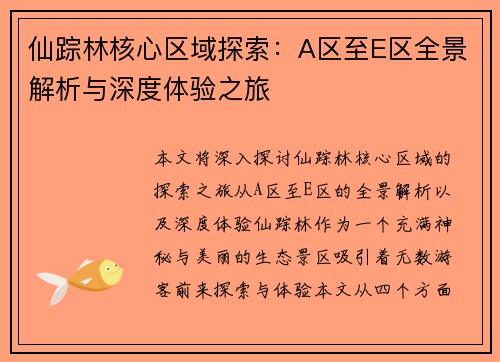 仙踪林核心区域探索：A区至E区全景解析与深度体验之旅